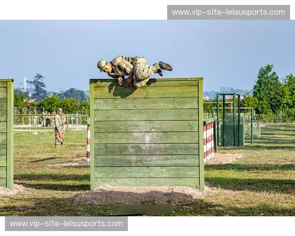 巅峰对垒与铁血荣光：深度复盘骑士vs猛龙视频中的热血瞬间与战术博弈